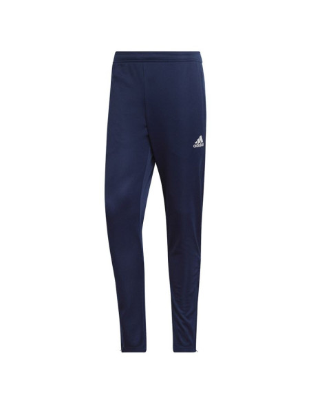 Spodnie adidas entrada 22 training panty m