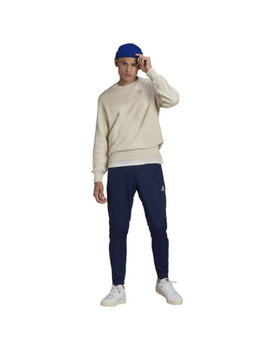 Spodnie adidas entrada 22 training panty m