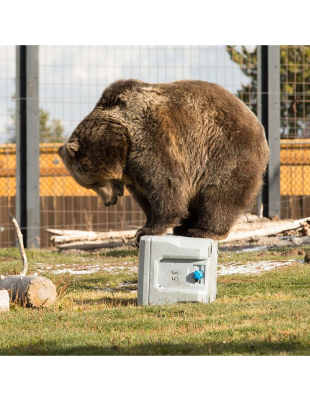 Lodówka turystyczna lifetime