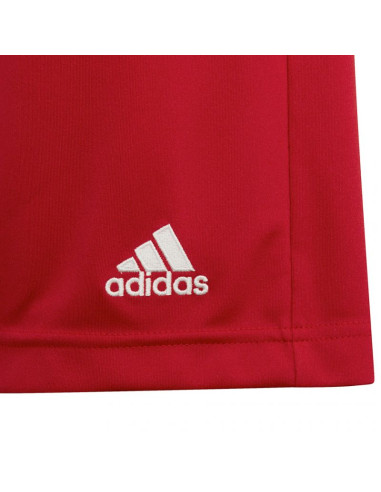 Spodenki adidas entrada 22 jr