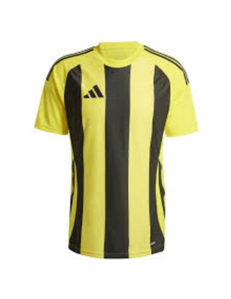 Koszulka adidas striped 24 jsy m