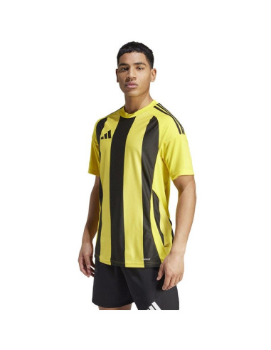 Koszulka adidas striped 24 jsy m