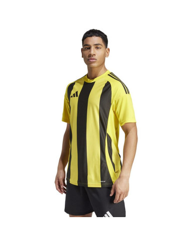 Koszulka adidas striped 24 jsy m