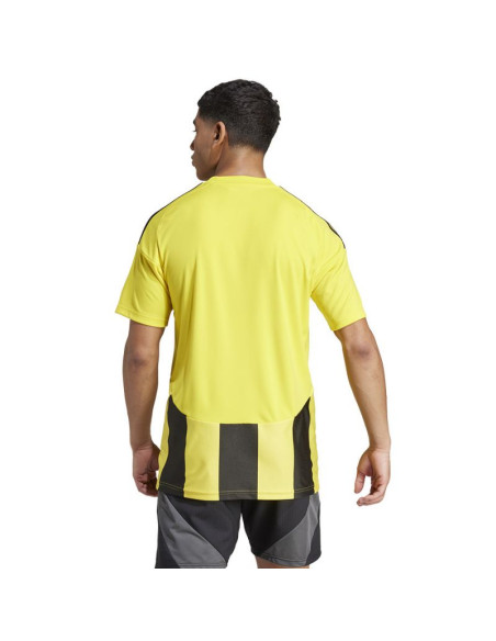 Koszulka adidas striped 24 jsy m