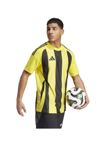 Koszulka adidas striped 24 jsy m