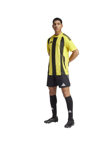 Koszulka adidas striped 24 jsy m