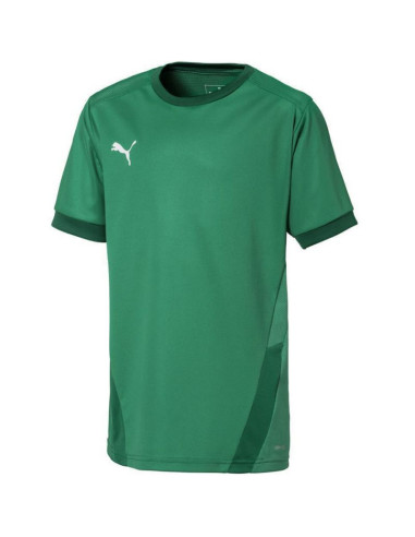 Koszulka puma teamgoal 23 jersey jr 704160
