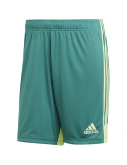 Spodenki adidas m tastigo 19 shorts 2