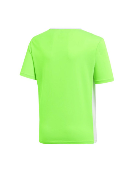 Koszulka adidas entrada 18 jr ce9755