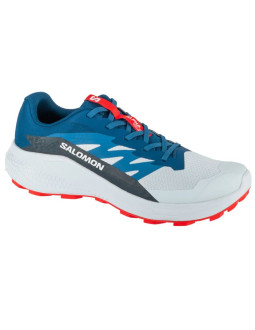 Buty do biegania salomon alphaglide ballad m 2