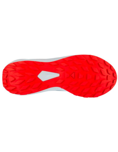 Buty do biegania salomon alphaglide ballad m