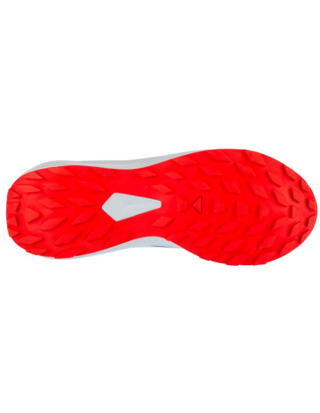 Buty do biegania salomon alphaglide ballad m