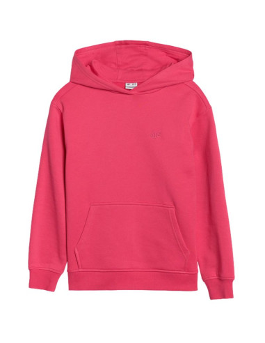 Bluza 4f f1854 jr 4fjwss25tswsf1854