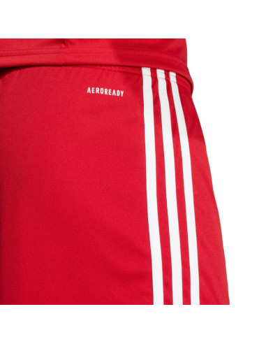 Spodenki adidas squadra 25 m