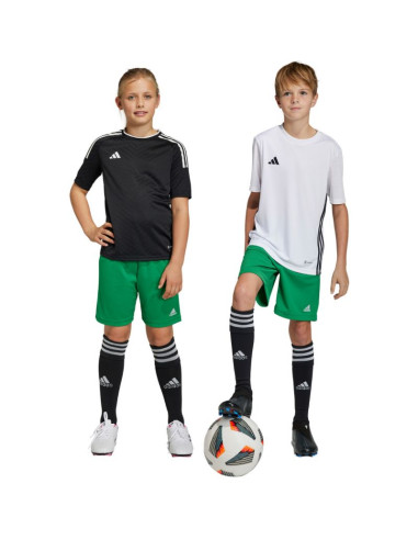 Spodenki adidas entrada 22 jr