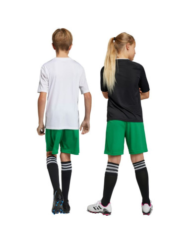 Spodenki adidas entrada 22 jr