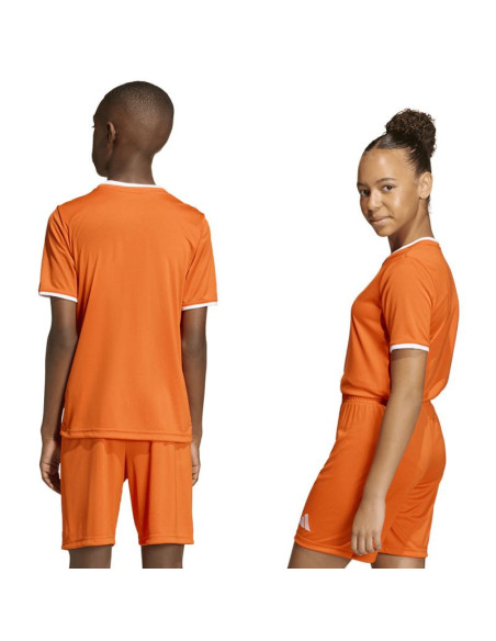 Koszulka adidas entrada 26 jsy jz2526