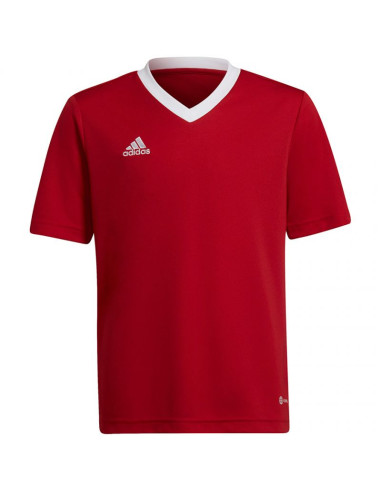 Koszulka adidas entrada 22 jsy jr