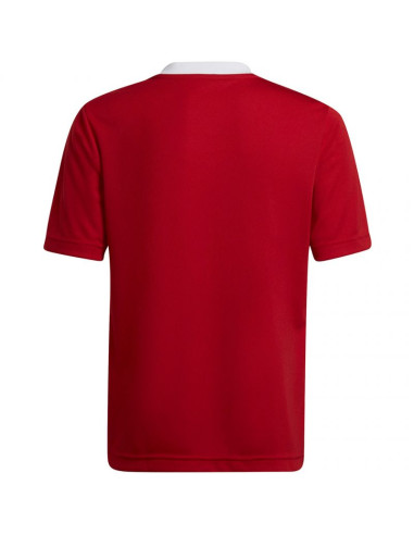 Koszulka adidas entrada 22 jsy jr