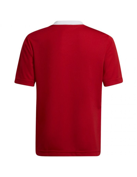 Koszulka adidas entrada 22 jsy jr
