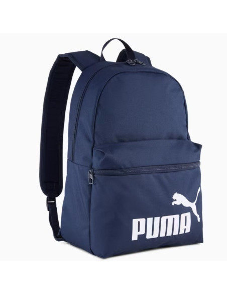 Pleack puma phase 091164