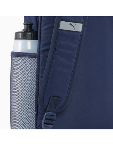 Pleack puma phase 091164