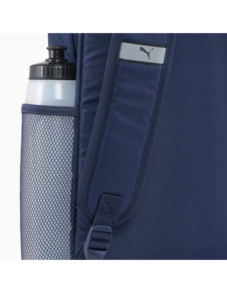 Pleack puma phase 091164