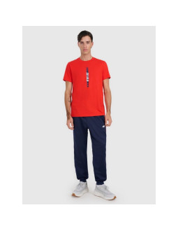 T-shirt regular z nadrukiem męski 4f 4fraw25ttshm3225-62s 2