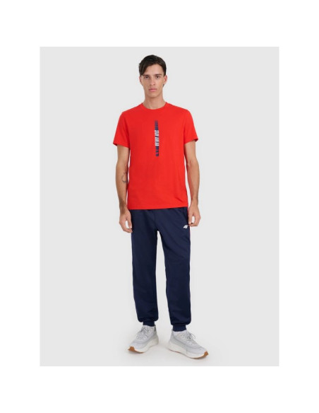 T-shirt regular z nadrukiem męski 4f 4fraw25ttshm3225-62s