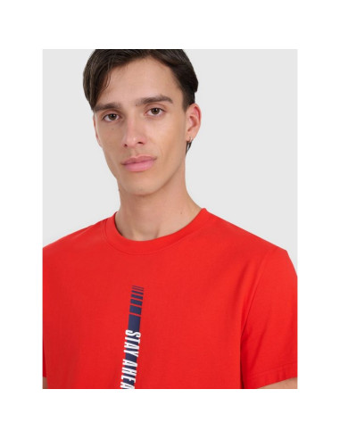 T-shirt regular z nadrukiem męski 4f 4fraw25ttshm3225-62s