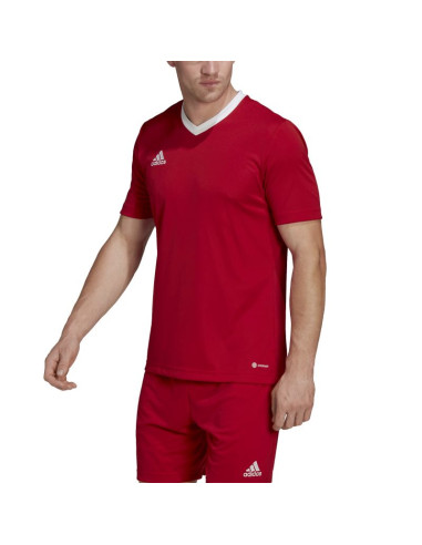 Koszulka adidas entrada 22 m