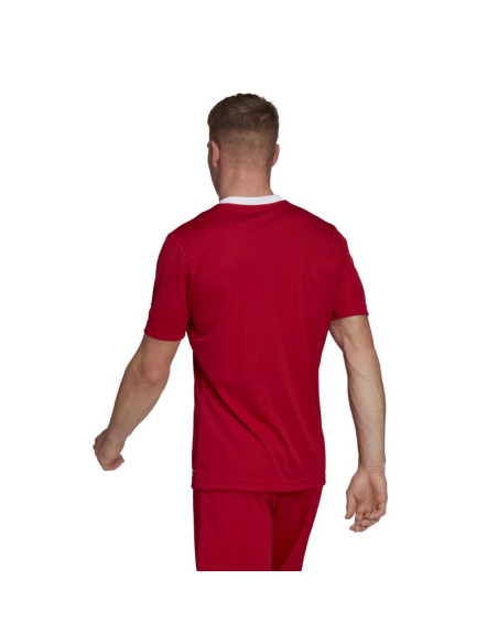 Koszulka adidas entrada 22 m