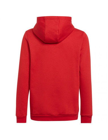 Bluza adidas entrada 22 hoody jr h5756