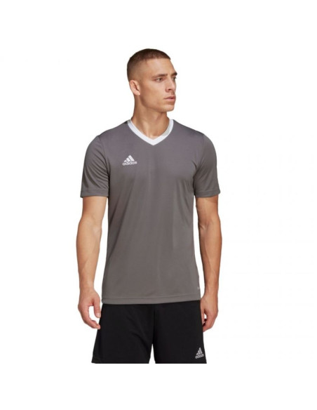 Koszulka adidas entrada 22 m