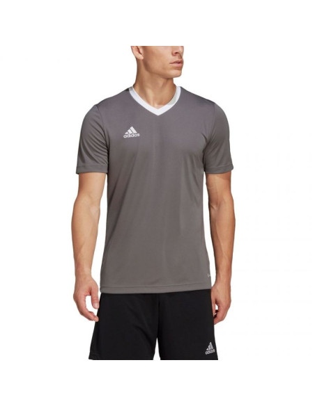 Koszulka adidas entrada 22 m