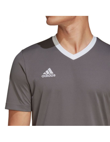 Koszulka adidas entrada 22 m