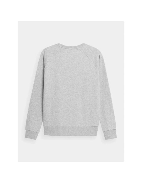 Bluza 4f w 4fss23tswsf370