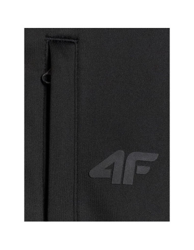 Polar z kapturem regular męski 4f 4fwaw25tflem417-40s