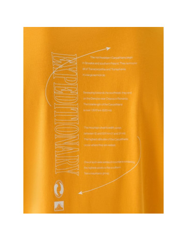 T-shirt oversize z nadrukiem męski 4f 4fraw24ttshm2578-70s