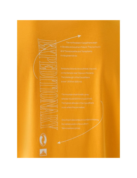 T-shirt oversize z nadrukiem męski 4f 4fraw24ttshm2578-70s