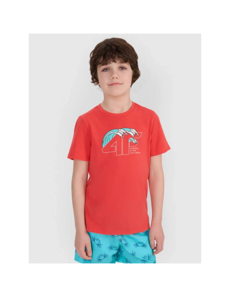 Koszulka 4f jr 4fjwss25ttshm1917