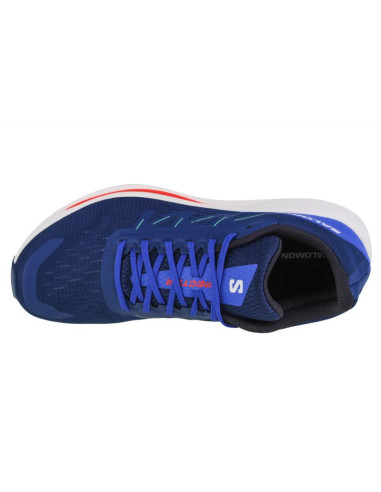 Buty do biegania salomon spectur m