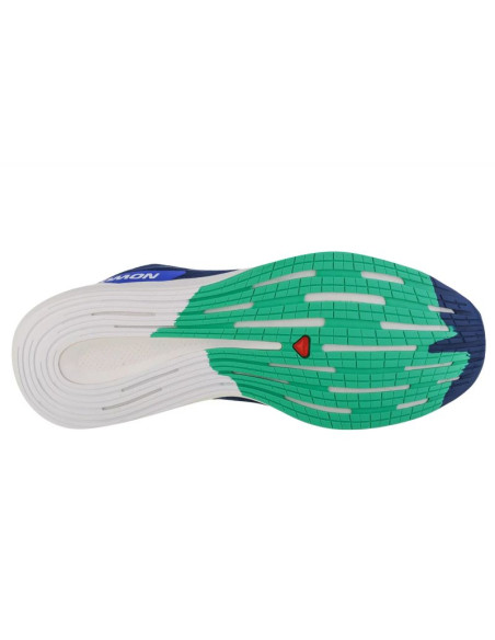 Buty do biegania salomon spectur m