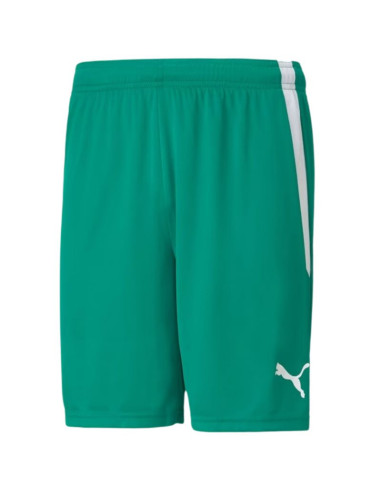 Spodenki puma teamliga m 704924