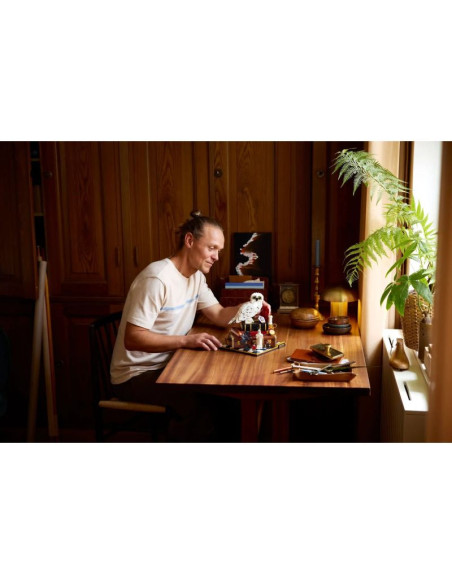 Lego harry potter 76466 kamień filozoficzny – edycja kolekcjonerska