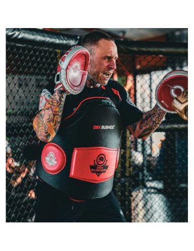 Zestaw ochraniacz tułowia + uda dbx guardian pro