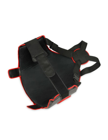 Zestaw ochraniacz tułowia + uda dbx guardian pro