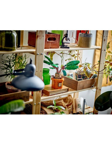 Lego harry potter 76433 mandragora