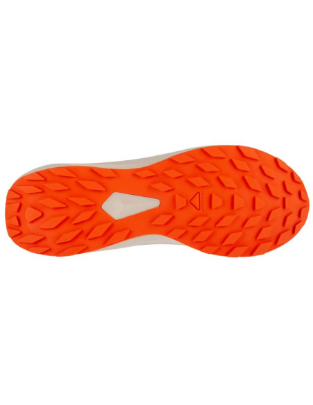 Buty do biegania salomon alphaglide m