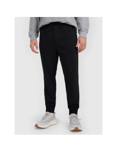 Spodnie dresowe joggery męskie 4f 4frmm00ttrom1624-20s